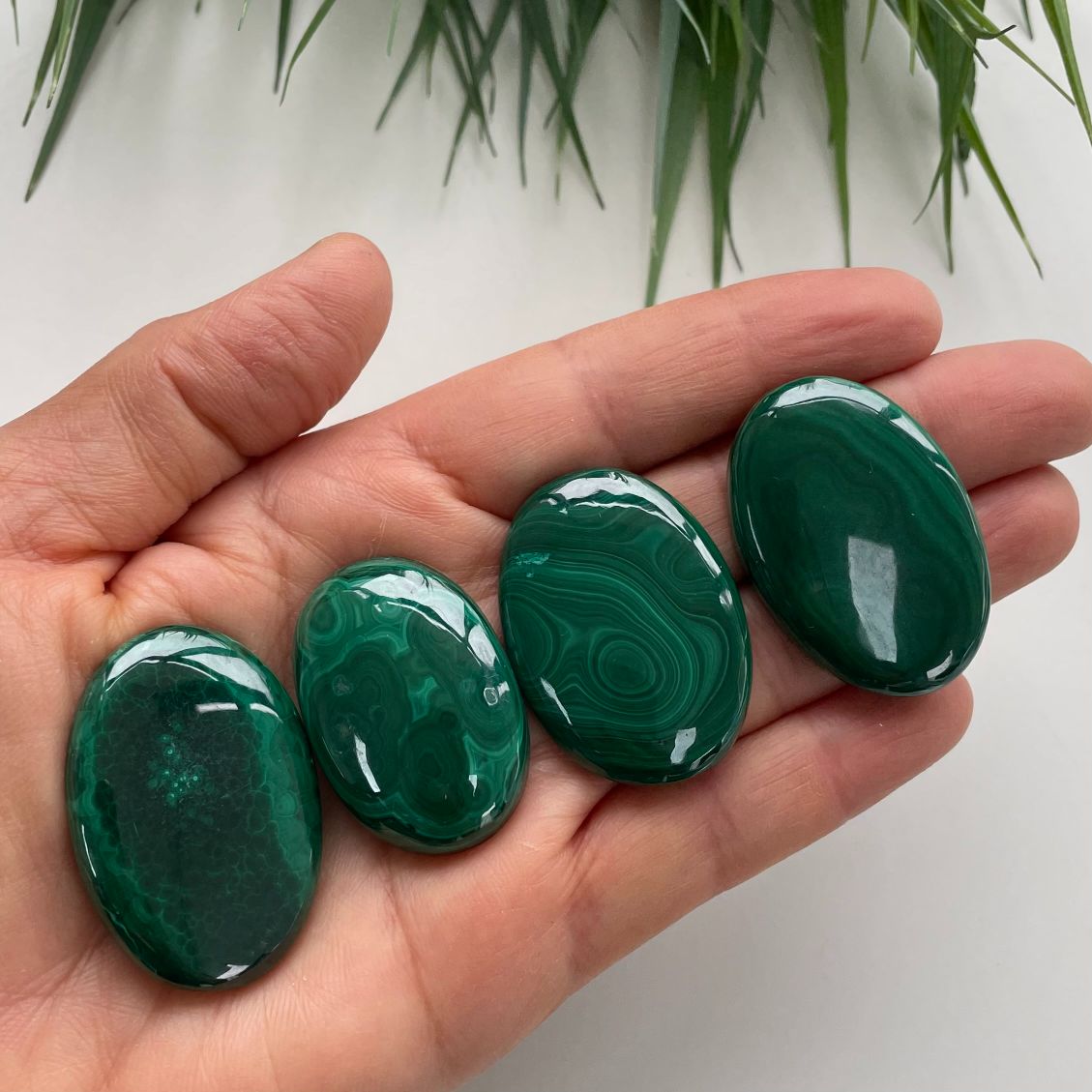 Malachite Cabochon - Round - 1pc Malachite Cabochon - Round - 1pc
